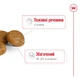 Сухой корм Royal Canin X-small Adult 8+ 3 кг (10040300) - изображение 5