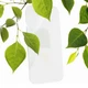 Защитное стекло ZAGG Invisible Shield для Google Pixel 8a - изображение 7