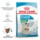 Cухий корм для цуценят Royal Canin Mini Starter 1 кг - изображение 2