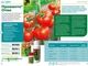 Инсектицид Прованто Отек 14 мл Protect Garden - изображение 2