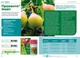 Інсектоакарицид Прованто Майт 5 мл Protect Garden - зображення 2