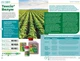 Протруйник Тексіо Велум 20 мл Protect Garden - зображення 2