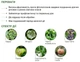 Фунгицид Шавит Ф 20 г ProtectON - изображение 6