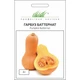 Насіння Гарбуз Баттернат, 2 г (United Genetics) - зображення 1