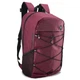 Рюкзак городской Semi Line 35 Cherry/Black, A3033-3 - изображение 1