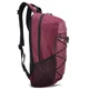 Рюкзак городской Semi Line 35 Cherry/Black, A3033-3 - изображение 2