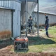 Генератор бензиновый Husqvarna G5500P (9676652-01) - изображение 9