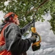 Ланцюгова пила DeWALT висоторіз 18V, довжина шини 20 см, ланцюг OREGON 3/8, (без АКБ та ЗП) (DCMPS567N) - зображення 4