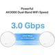 WiFi Mesh-система TP-Link Deco X50-PoE(2-pack) - изображение 8