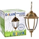 Светильник Delux PALACE A009 (90011357) - изображение 2