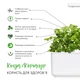 Змінний картридж Click&Grow Коріандр (8417) - изображение 3