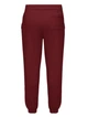 Штаны Saucony Recovery Sweatpant Burgundy XXS (1097-800049-SUA3 XXS) - изображение 2