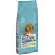 Сухий корм для собак Purina Dog Chow Puppy Lamb зі смаком ягняти 14 кг (7613034487872) - зображення 1