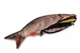 Пенал рибка Ferocity для школи Carp Fish 1581 - зображення 3