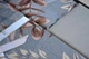 Постельное белье First Choice Cotton Satin 200х220 Albert Grey - изображение 4
