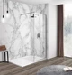 Душевая стенка Walk-In IMPRESE 110x200 s09111001TR - изображение 1
