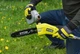 Висоторіз ланцюговий акумуляторний Max Power Ryobi RY36PP25A-0 36В шина 25см довжина 3м 4.3кг (без АКБ та ЗП) - изображение 3