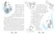 Морський детектив. Печера Чорного Кальмара - Андрій Кокотюха (9786170984005) - зображення 5