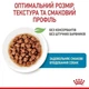 Вологий корм Royal Canin X-Small Puppy для цуценят 85 г (9003579020302) - изображение 3