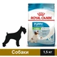 Сухий корм Royal Canin X-Small Puppy для цуценят 1.5 кг (3182550793612) - зображення 1