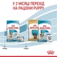 Сухий корм Royal Canin Mini Starter для цуценят 8 кг (3182550932691) - зображення 3