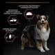 Сухой корм Purina Pro Plan Medium Sensitive Skin для собак средних пород с чувствительной кожей с лососем 14 - изображение 5