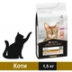 Сухой корм Purina Pro Plan Derma Care для кошек для поддержания здоровья кожи и шерсти с лососем 1.5 кг - изображение 1