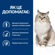 Сухий корм для котів Hill's Prescription Diet j/d догляд за суглобами з куркою 3 кг - зображення 2