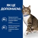 Сухой корм Hill's S/D PRESCRIPTION DIET для кошек по уходу за мочевыделительной системой с курицей 1.5 кг - изображение 2