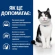 Сухой корм для кошек Hill's Prescription Diet i/d уход за пищеварением с курицей 3 кг - изображение 3