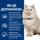 Сухой корм для кошек Hill's PRESCRIPTION DIET c/d Urinary Stress Feline Chicken с идиопатическим циститом 1.5 кг - изображение 3