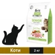 Сухой корм Brit Care GF Senior Weight Control для пожилых кошек с избыточным весом с курицей 400 г - изображение 1