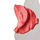 Кремові рум'яна Rhode Pocket blush Spicy Marg 5.3 г (850055527140) - зображення 4
