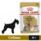 Влажный корм Royal Canin Yorkshire Adult для собак 85 г (9003579001448) - изображение 1