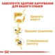 Влажный корм Royal Canin Chihuahua Adult для собак 85 г (9003579001516) - изображение 3