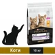 Сухой корм Purina Pro Plan Kitten для котят с курицей 10 кг (7613036505307) - изображение 1