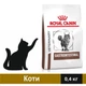 Сухий корм Royal Canin Gastrointestinal Cat для котів 400 г (3182550771245) - зображення 1