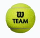 М'ячі тенісні Wilson Team Practice 4 Ball WRT111900 - зображення 3