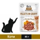 Влажный корм Brit Care Fillets in Gravy Hearty Duck для кошек из филе утки в соусе 85 г (8595602540518) - изображение 1