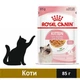 Влажный корм Royal Canin Kitten Instinctive in Jelly для котят 85 г (9003579311714) - изображение 1