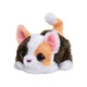 Интерактивная игрушка Маленький Котенок - изображение 3