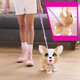 Інтерактивна іграшка Furreal серии Poop-A-Lots - Коргі - зображення 3