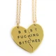 Парные кулоны для двоих подруг Best Fucking Bitches как оригинальный подарки для подружек 28010 - изображение 6