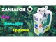 Індуктивна іграшка Хамелеон, Happy Cow, HC-777-613 - зображення 6
