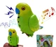 Іграшка-повторюшка папуга Funny Parrot TT8005 Зелений - зображення 4