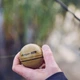 Ехолот Deeper Chirp+ 2.0 (packed in a Fish Spotter Kit 2023),ITGAM1483 - зображення 3
