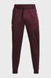Чоловічі бордові спортивні штани SPORTSTYLE TRICOT JOGGER Under Armour S 1290261-601 - изображение 5