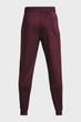 Чоловічі бордові спортивні штани SPORTSTYLE TRICOT JOGGER Under Armour S 1290261-601 - изображение 6