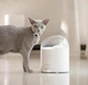 Поїлка CATLINK Wireless Pump & Ultra-Filtration Water Fountain - PURE 2 White - зображення 5