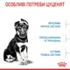 Cухий корм для цуценят Royal Canin Maxi Puppy 1 кг - изображение 3